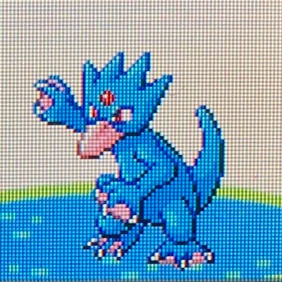 I don’t own a capture card. I just capture inanimate lines of code called shiny Pokémon 🤩