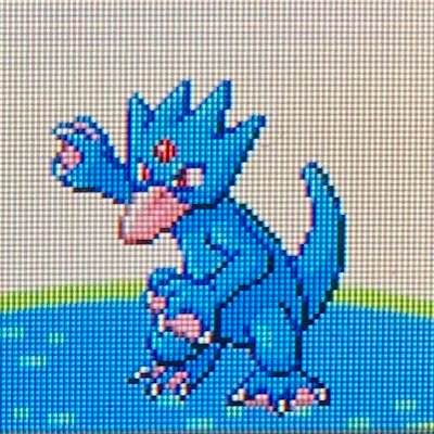 I don’t own a capture card. I just capture shiny Pokémon 🤩