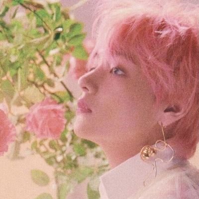 🌌kep1er🌌 🔫bangtan sonyeondan🔫 🌹𝒕𝒉𝒆 𝑹𝒐𝒔𝒆🌹 -enhypen- 🌈+×+🌈