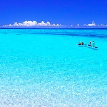 Ksdkq2Vd9Okx46P's profile picture. 