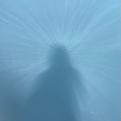 ALLNIGHTL_NG's profile picture.