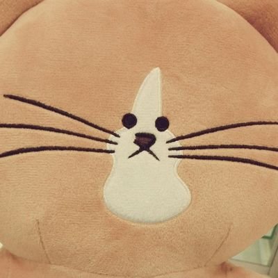 にゃむむさんのプロフィール画像