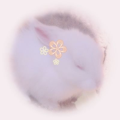 V専用取引垢/🌈🕒周辺B済/成人済社会人/❤️‍🩹🐰.🦉🎻.最近はHEROESもゆるっと/箱推し傾向。関係性オタクの為、推し以外を探す場合があります/V用に垢分けしました、他ジャンルは全て本垢(@sir0yagi) ※通知不良の為、3日以上反応が無い場合は、再度お声掛け頂けると幸いです