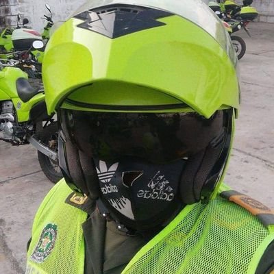 Adog04837048's profile picture. 