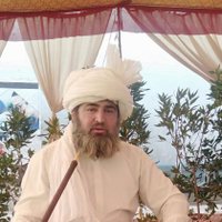 سید ظہیر حسین شاہ کاظمی قادری چشتی (@nutritionsmart) 's Twitter Profile
