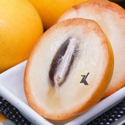 anzu_tf's profile picture. ＊画像無断転載禁止＊沖縄県は本島、主に熱帯果樹を鉢植で栽培しております。 あまり知られていない熱帯果樹の魅力や情報を発信していきます(たまに誤情報あり...確認次第修正) 。アイコンはアビウ(オオミアカテツ属) で、ヘッダーはイエローピタヤ(ヒモサボテン属)という熱帯果実です。