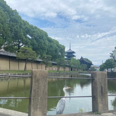 clauclaudiadia's profile picture. 