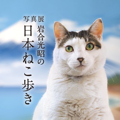 写真展「岩合光昭の日本ねこ歩き」さんのプロフィール画像