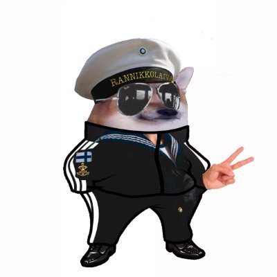 MikkoLaaksonen1's profile picture. Tietokirjailija, tutkija, suunnittelija, yrittäjä. Turku.
Lieutenant, Finnish #NAFO Navy reserves.