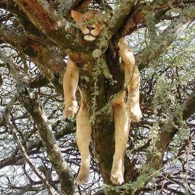 PatelJa12924760's profile picture. Fist Love India 🇮🇳