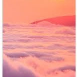 ghym09879's profile picture. 