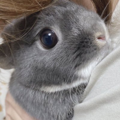 三两海狗油さんのプロフィール画像