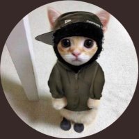 Z (@zachm1337) 's Twitter Profile