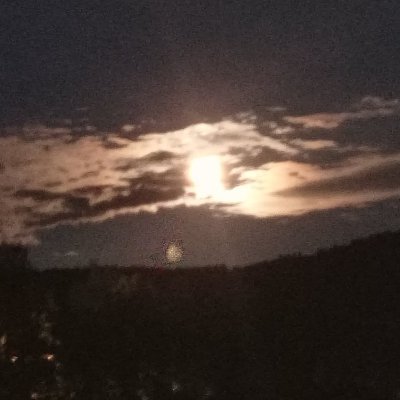 miiki_babba's profile picture. 