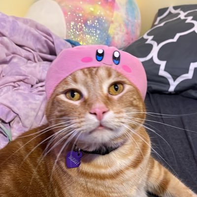 mocchiio's profile picture. 20!! | minors dni