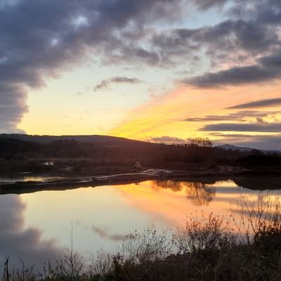 TheDavyD99's profile picture. 