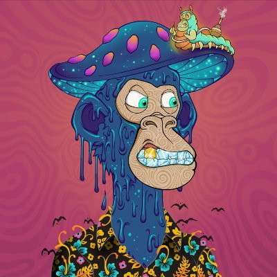 Contrar40166742's profile picture. I tell the Truth, therefore you may not like me.