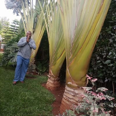 Fr. Innocent born in Kabete, Kiambu, Kenya.
Orthodox Priest and a reggae artist
The only Priest who sings pure roots, old school reggae....