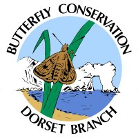 BC Dorset 🦋(@BC_Dorset) 's Twitter Profileg