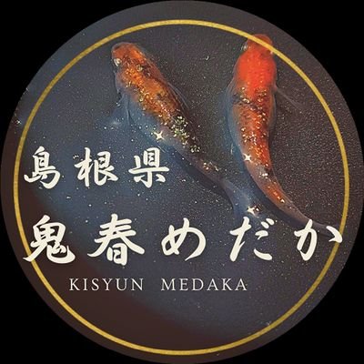 島根県出雲市在住✨
生き物&メダカ好き♥
メダカを購入したい方お気軽にDM下さい
メダカイベント⭐フリマ⭐不定期開催しています♥参加仲間募集

https://t.co/APRRH0r2pN

仮面ライダー大好きです!!♥♥
藤岡弘様🤩一度で良いので会いたい🤩