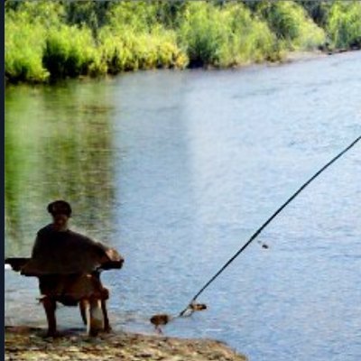 sutsilvanianer's profile picture. 