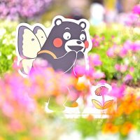 あき (@xbmbr0qytl03wsh) 's Twitter Profile Photo あき (@xbmbr0qytl03wsh) 's Twitter Profile Photo