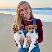 René van der Vyver (@renevandervyver) 's Twitter Profile