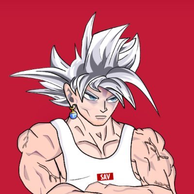 SAVOSE_'s profile picture. Co-Founder @METASAVS