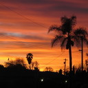 Vanessa Suarez - @la_hippi - Twitter