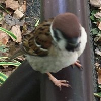 158(-ω-)b (@158b) 's Twitter Profile