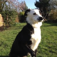 Clare Hellings (@clarehellings51) 's Twitter Profile Photo Clare Hellings (@clarehellings51) 's Twitter Profile Photo