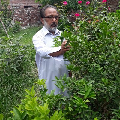 shabbirqamar161's profile picture. 