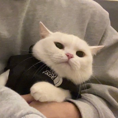 Danicazhangli's profile picture. Happy everyday💜