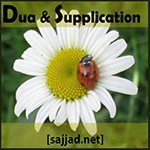 Authentic Islamic Dua, Supplications and Reminders, and links to memorize them with proper recitation.
Recite and Memorize