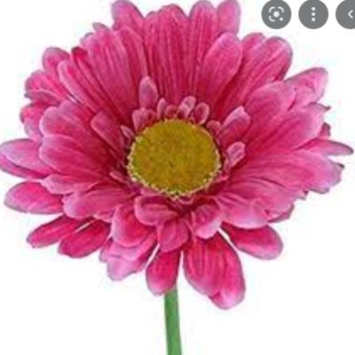 roksana80101753's profile picture. I'm a professional Digital Marketer and Lead Generation expert