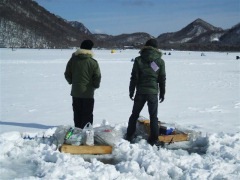 Kackykakinuma's profile picture. 普段は只の酔っ払い。昼間は大工さん。夜はBar ANGLER'Sのマスター。