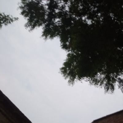 Asfghjg2's profile picture. Hii