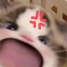 Mateand_Gray03's profile picture. 