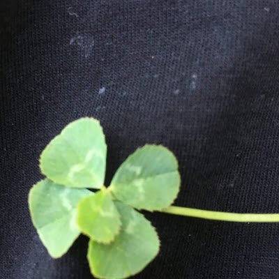 j8T1cudhOHNR6w1's profile picture. 