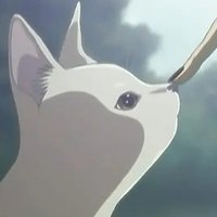 0xLisaaa (@0x_lisaaa) 's Twitter Profile