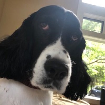 thundershuman's profile picture. 