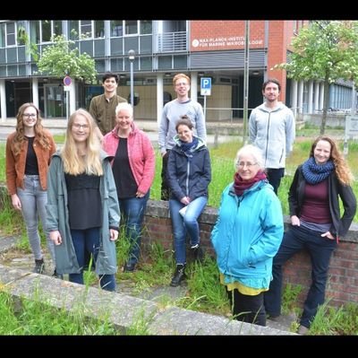 Archaeal Virology group at @MarineMicrobio
Interactions of plasmid vesicles, extracellular vesicles, and viruses infecting Archaea