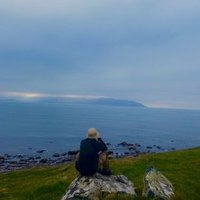 Jamie Latimer (@westcorkbirder) 's Twitter Profile Photo Jamie Latimer (@westcorkbirder) 's Twitter Profile Photo