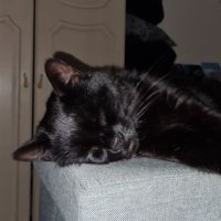 The Sanctuary on Hard Rock Hell Radio (@adz013) 's Twitter Profile