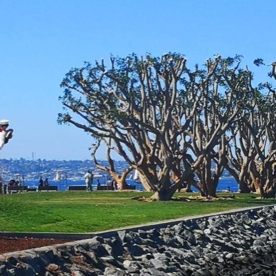 Cumulus13300's profile picture. 