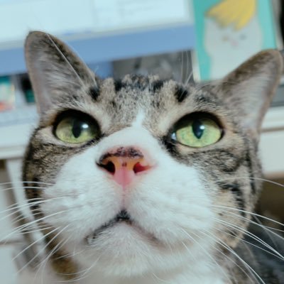 にゃいさんのプロフィール画像