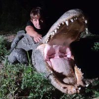 Charles Wieand (@charleswieand) 's Twitter Profile