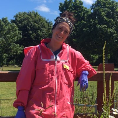 she/her 🐝. PhD student investigating magnetoreception in bees at @Bangor_Nav. Enthusiastic beekeeper and cook. I am Italian after all. Dysgu Cymraeg.