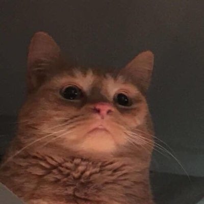 JooAp9's profile picture. 