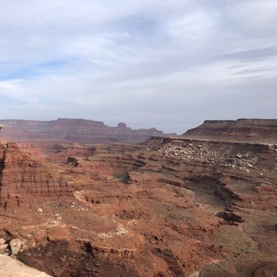 EdwinDWilbert's profile picture. 